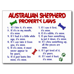 AUSTRALIAN SHEPHERD Property Laws 2 Post Cards