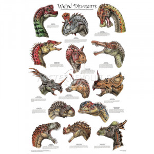 Weird Dinosaurs Educational Paleontology Science Chart Poster - 24x36