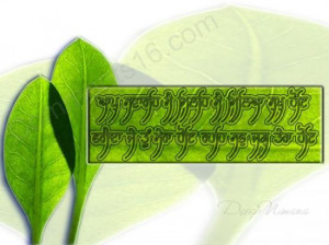 Facebook Status Sikh Gurbani Funny Love Quotes Punjabi