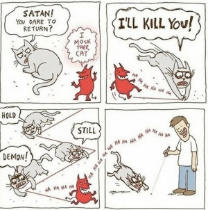 Cat humor, the best