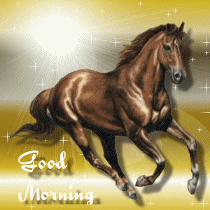 Running Horse Animated Good Morning4