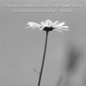 myrkothum.hubpages.com