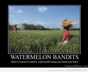 WATERMELON BANDITS WHEN IT COMES TO MELONS IT AIN'T WORTH LOSING YOUR ...
