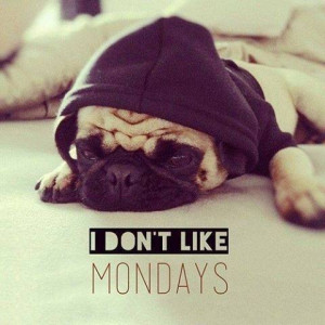 dont like Mondays