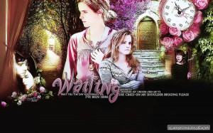 Harry Potter Ron & Hermione - Deathly Hallows