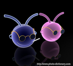 mustang mascot vecter