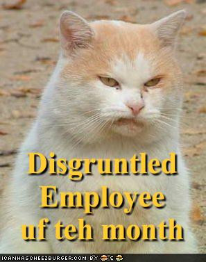 ... pictures-disgruntled-employee-of-the-month.jpg (showing of total 6225