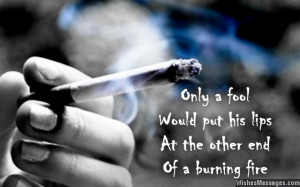 ... an original collection of quotes and sayings that will make smokers