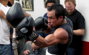 Juan Manuel Marquez vs Mike Alvarado