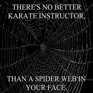 Spider Web In Your Face Pictures, Photos, and Images for Facebook ...