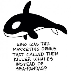 ... marketing genius that called them killer whales instead of sea pandas