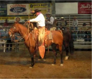 Feel is all the horse has to go on.