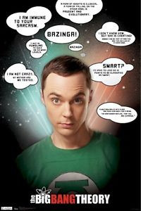 Big Bang Theory Poster Sheldon Sarcasm Quotes 22x34 TV Jim Parsons ...
