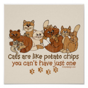 Cats Are Like Potato...