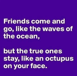 ... sayings in these funny friendship quotes are so deep that only true