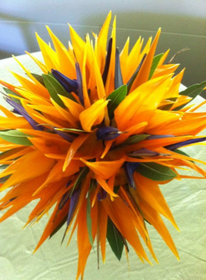 Posts related to Birds of paradise flower bouquet