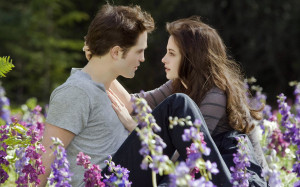 Twilight Series love forever edward and bella