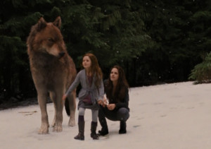 Jacob-Black-and-Renesmee-Cullen-image-jacob-black-and-renesmee-cullen ...