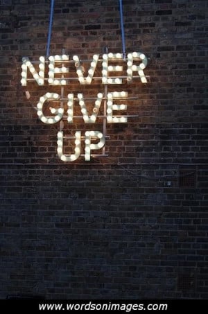 Never Give Up On Your Dreams Quotes