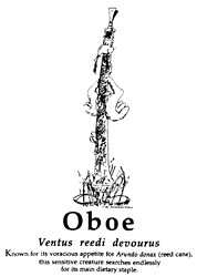 Oboe Image