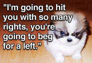 Follow @WarpedNetwork