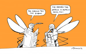 ... Just a bunch of mosquitoes swarming around me like I'm their dinner