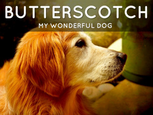 Out Of My Mind Characters Out of my mind by sean l