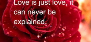 Valentines Day Quotes For Couple: Love Is Just Love It Can Never Be ...