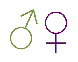 Gender Symbols