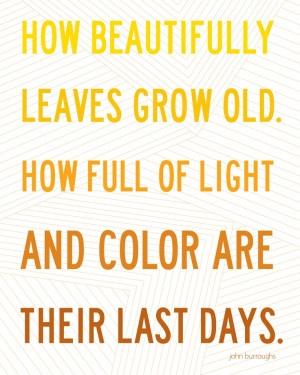 How beautifully leaves grow old.