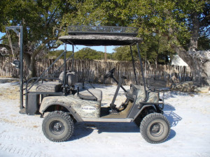 Salvage Bad Boy Buggy For Sale