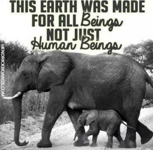 Animal Rights Quotes 2 images above is part of the best pictures in ...