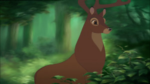 Bambi Quotes Bambi quotes