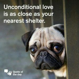 Pinned by Maria Castillo