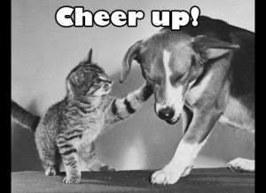 Cheer Up Cat and Dog eCard