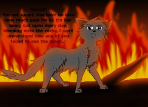 Go Back > Images For > Warrior Cats Squirrelflight And Ashfur