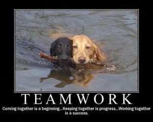 Back > Quotes For > Funny Teamwork Quotes And Sayings