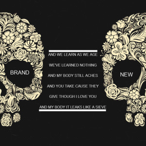 Pretty places/dogs/bands