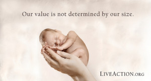 Pro-Life Quotes, Facts, and Arguments in Visual Graphics - Live ...