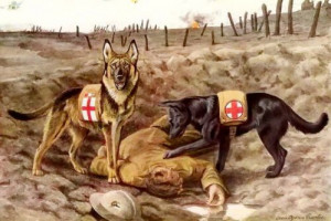 12x8 Print GERMAN SHEPHERD DOG Rescue Wounded SOLDIER WWI Army Medical ...