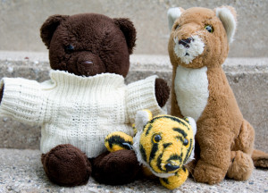 Stuffed Animals 620