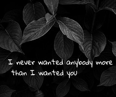 Tagged with slipknot lyrics