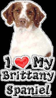 Love Dog Breeds Glitter Pictures, Images, Graphics, Comments and ...