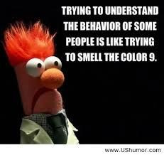 beaker muppets quotes - Google zoeken