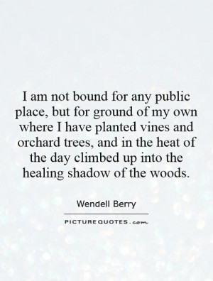 ... day climbed up into the healing shadow of the woods Picture Quote #1