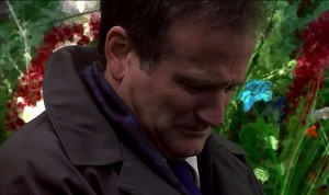 Robin Williams What Dreams May Come
