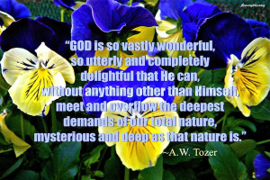 GOD - from The Pursuit of God, by A.W.Tozer