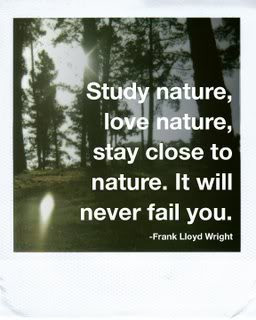Study Nature, Love Nature, Stay Close To Nature. It Will Never Fail ...