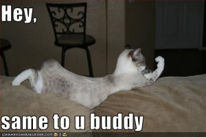 Photograph's and Wallpaper