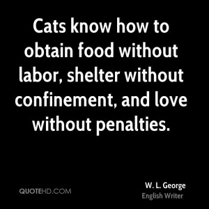 Cats know how to obtain food without labor, shelter without ...